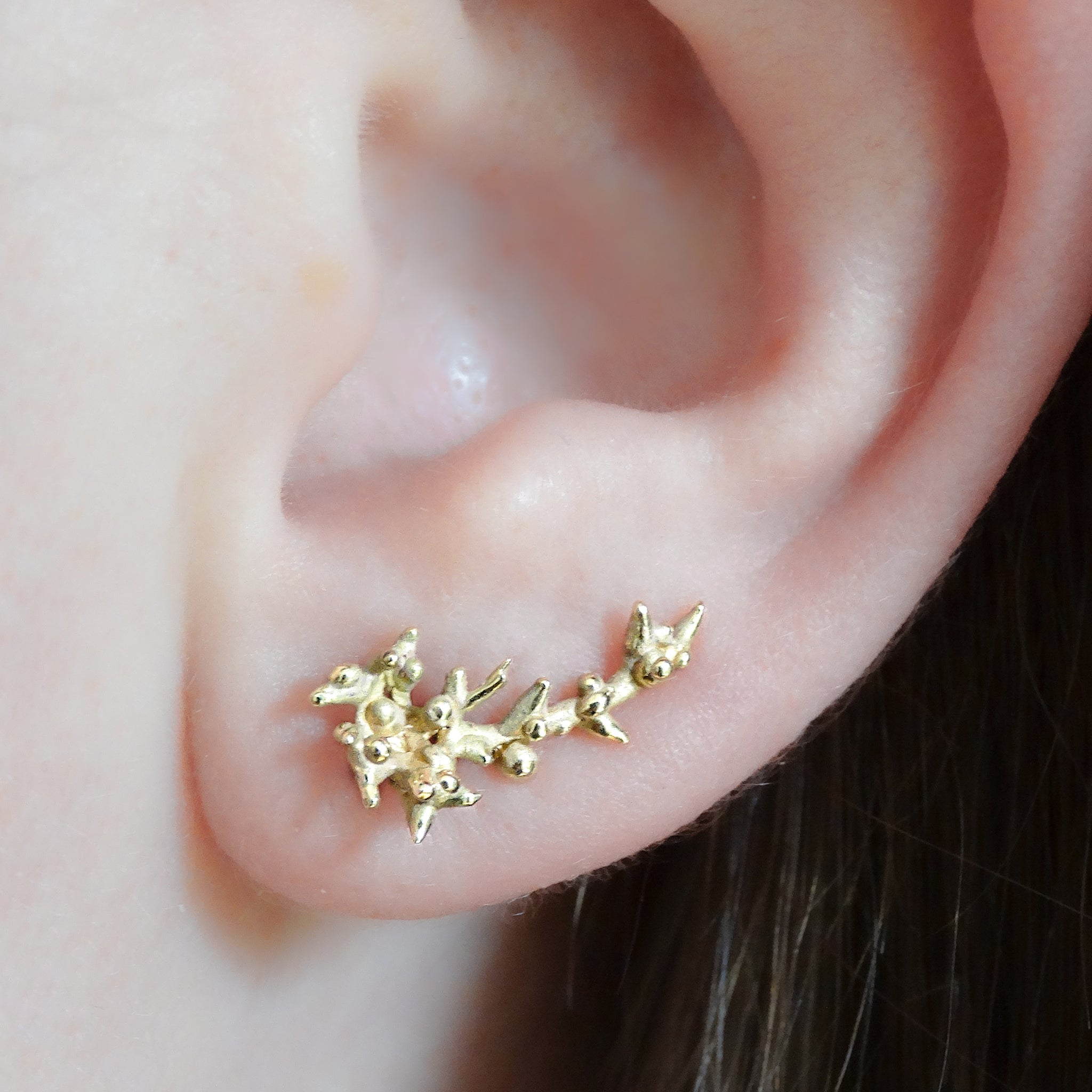18ct Yellow Gold Sloe Stud Earring & Ear Climber